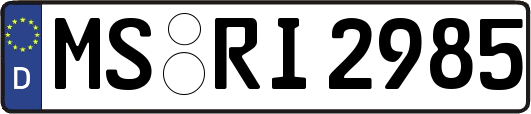 MS-RI2985