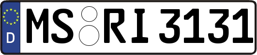 MS-RI3131