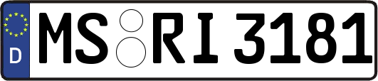MS-RI3181
