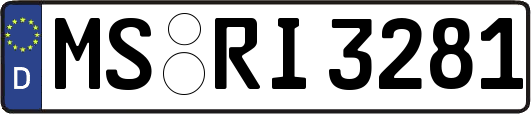 MS-RI3281