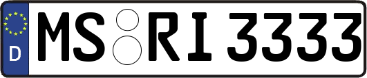 MS-RI3333