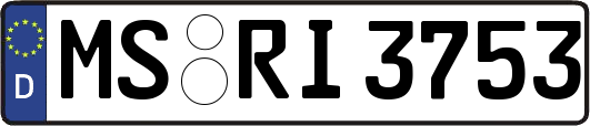 MS-RI3753