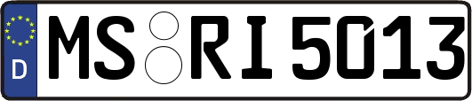 MS-RI5013