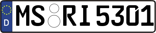MS-RI5301