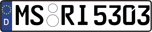 MS-RI5303