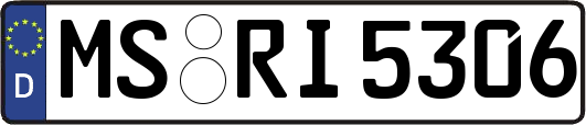 MS-RI5306