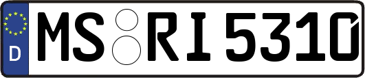 MS-RI5310