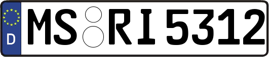 MS-RI5312