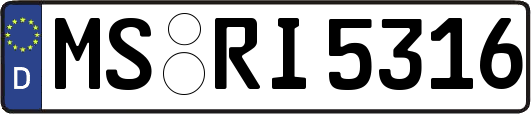 MS-RI5316
