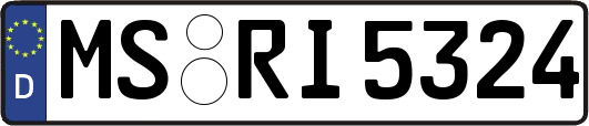 MS-RI5324