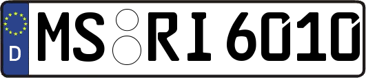 MS-RI6010