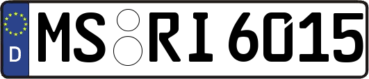MS-RI6015