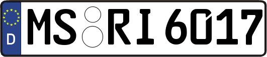 MS-RI6017