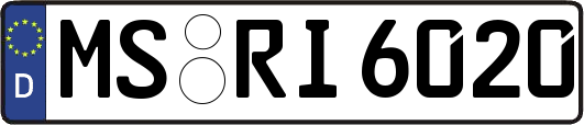 MS-RI6020