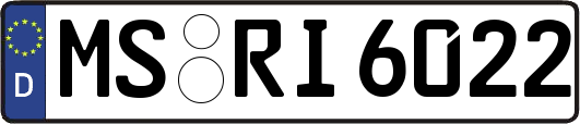 MS-RI6022