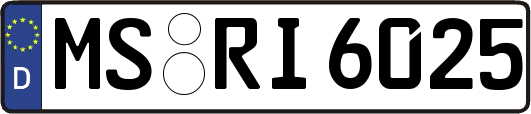 MS-RI6025