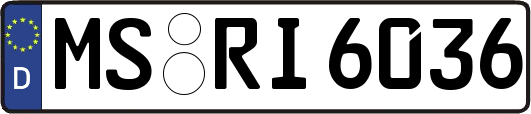 MS-RI6036
