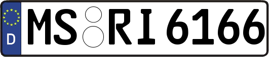MS-RI6166