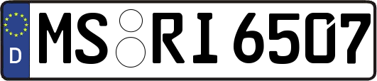 MS-RI6507
