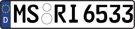MS-RI6533