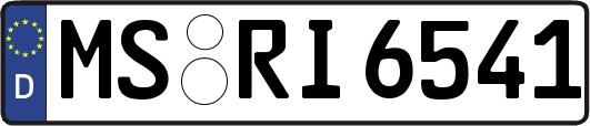 MS-RI6541