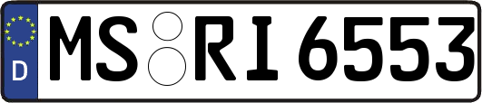 MS-RI6553