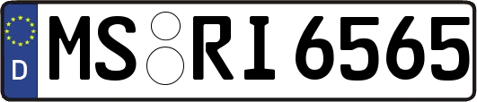MS-RI6565