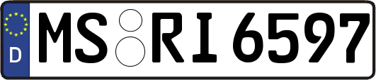 MS-RI6597
