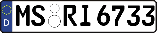 MS-RI6733