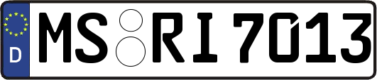 MS-RI7013