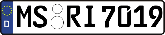 MS-RI7019