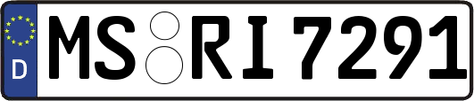 MS-RI7291