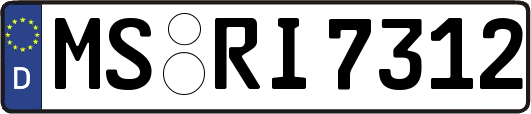 MS-RI7312