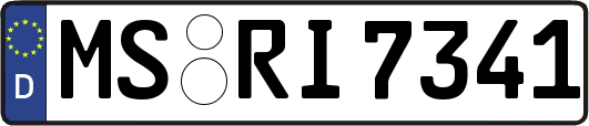 MS-RI7341