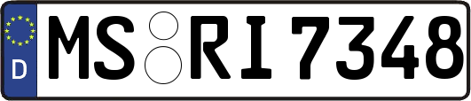 MS-RI7348