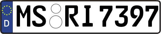 MS-RI7397