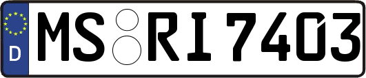 MS-RI7403
