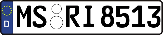 MS-RI8513