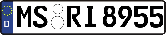 MS-RI8955