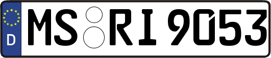 MS-RI9053