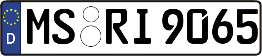 MS-RI9065