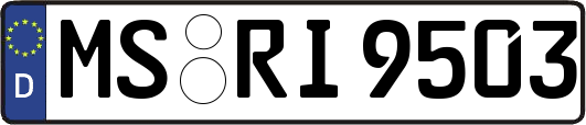 MS-RI9503