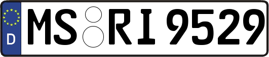 MS-RI9529