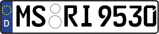 MS-RI9530