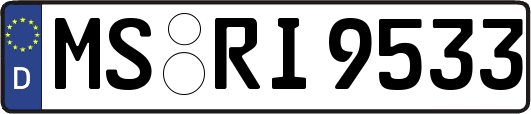 MS-RI9533