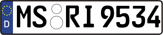 MS-RI9534