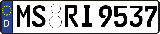 MS-RI9537