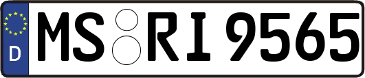 MS-RI9565
