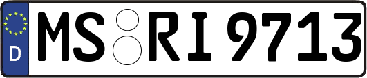 MS-RI9713