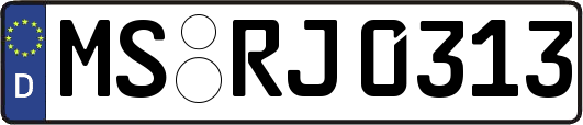 MS-RJ0313